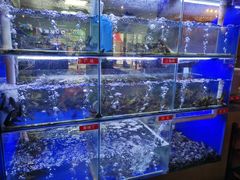 -石锅苗苗鱼(武汉首店)
