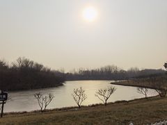 -塘沽森林公园