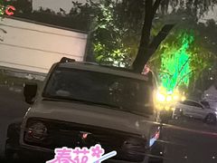 -枫花园汽车电影院(朝阳公园店)