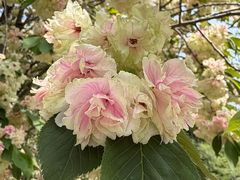 -江南大学(蠡湖校区)