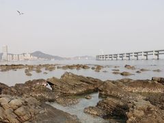 -黑石礁公园