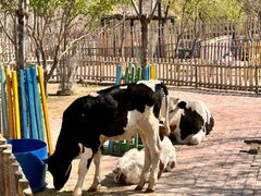 -水上乐园·欢乐世界