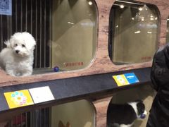 -宠物世家(仲盛世界商城店)