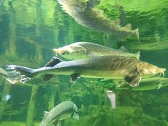 -华夏文旅海洋公园