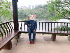 -重庆彩云湖湿地公园