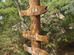 -西尖山公园