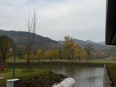 -千年银杏谷文化旅游区