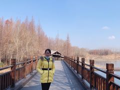 -溱湖国家湿地公园