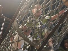 -蓝精灵乐园·世茂精灵之城主题乐园