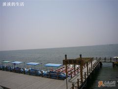-碧海金沙