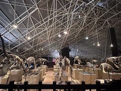 -世界恐龙谷景区