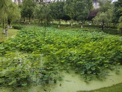 -沐仙湖湿地公园