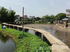 -江门古劳水乡旅游区