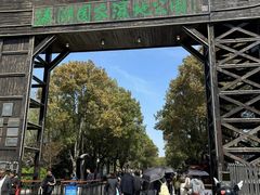 -溱湖国家湿地公园