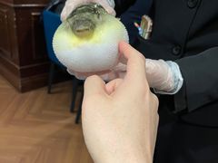 -肆月河豚·新淮扬(金融街店)