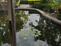 -鼓浪屿钢琴博物馆