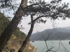 -羚羊峡古栈道森林公园