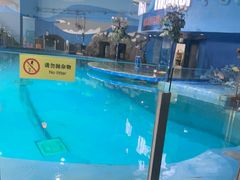 -苏州海洋馆