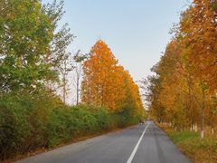 -泗洪洪泽湖湿地景区