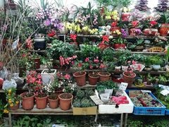 -无锡文化工艺品市场(槐古路店)