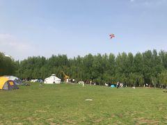 -长白岛森林公园