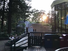 -三鹰之森吉卜力美术馆