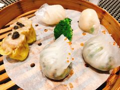 -新兴·金羊座·粤菜点心(乐峰店)