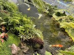 -罗红摄影艺术馆