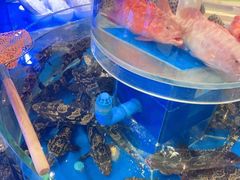 -新海渔港·胶东海鲜家常菜·家宴(奥体中心店)