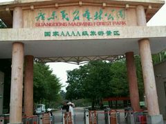 -广东茂名森林公园