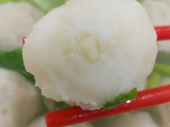 -蒂蒂香達濠魚丸