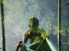 -陶祖圣境风景区