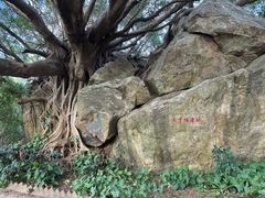 -宋井风景区