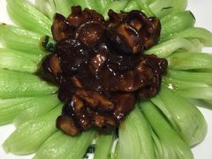 -阿英煲(凉城路店)