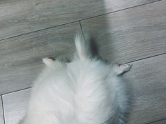 -沈记烧烤海鲜(江汉二路店)