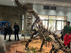 -自贡恐龙博物馆