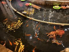-世纪缘国际会议中心·中餐厅(百家湖店)