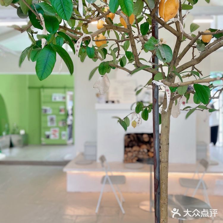 初夏の绿｜隐蔽在南城的这家店。
