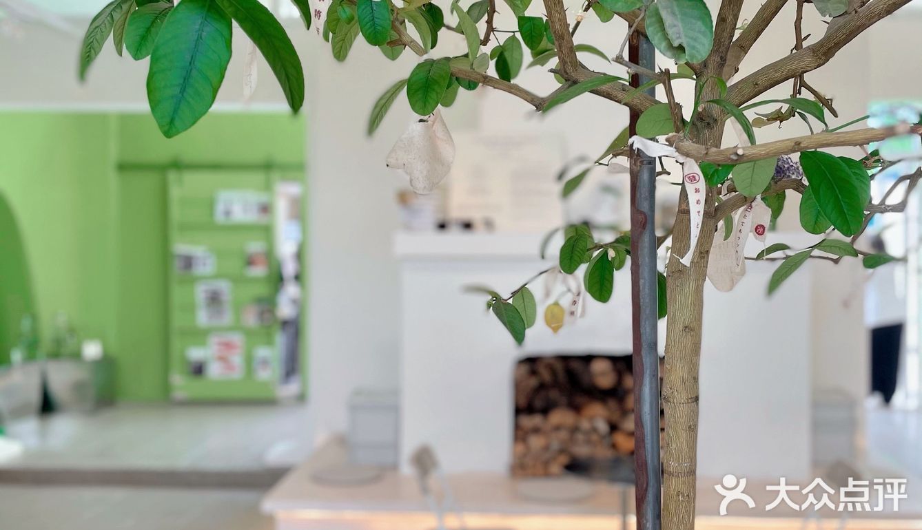 初夏の绿｜隐蔽在南城的这家店。