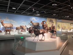 -陕西自然博物馆