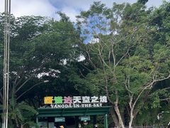 -呀诺达热带雨林