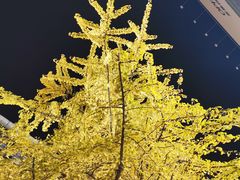 -季季红火锅(长沙步行街店)