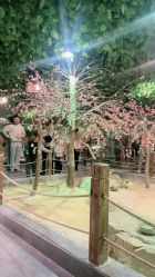 -酷嗒动物文化乐园(cutezoo西溪乐天城店)