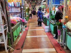 -朝来春花卉市场