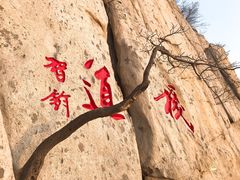 -嵩山少林文化旅游景区