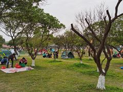 -长洲岛都市农业公园