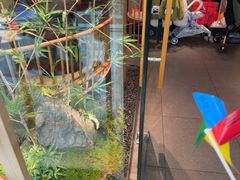 -绿茶餐厅(滨海万达广场店)