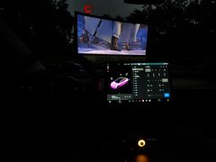 -枫花园汽车电影院(朝阳公园店)