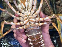 -江杨农产品批发市场