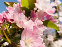 -海棠花溪(元大都城垣遗址公园)
